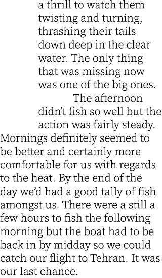 a thrill to watch them twisting and turning, thrashing their tails down deep in the clear water. The only thing that ...
