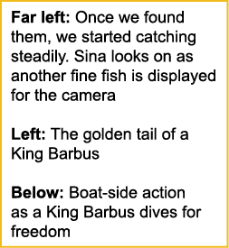 Far left: Once we found them, we started catching steadily. Sina looks on as another fine fish is displayed for the c...