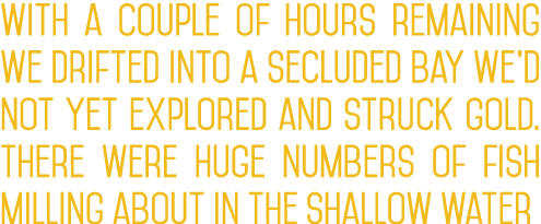 With a couple of hours remaining we drifted into a secluded bay we’d not yet explored and struck gold. There were hug...