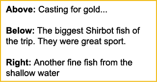 Above: Casting for gold... Below: The biggest Shirbot fish of the trip. They were great sport. Right: Another fine fi...