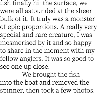 fish finally hit the surface, we were all astounded at the sheer bulk of it. It truly was a monster of epic proportio...