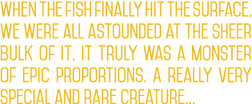 When the fish finally hit the surface, we were all astounded at the sheer bulk of it. It truly was a monster of epic ...