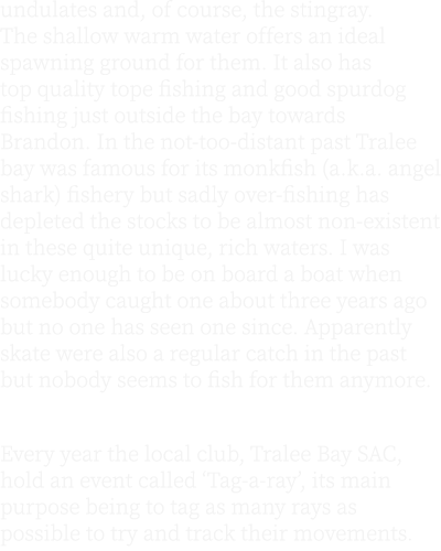 undulates and, of course, the stingray. The shallow warm water offers an ideal spawning ground for them. It also has ...