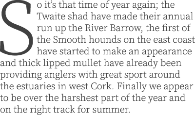 So it’s that time of year again; the Twaite shad have made their annual run up the River Barrow, the first of the Smo...