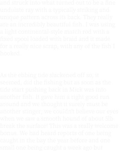 and struck into what turned out to be a fine undulate ray with a typically striking and unique pattern across its bac...