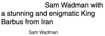 Cover shot: Sam Wadman with a stunning and enigmatic King Barbus from Iran Photo credit: Sam Wadman