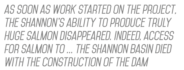as soon as work started on the project, the Shannon’s ability to produce truly huge salmon disappeared. Indeed, acces...