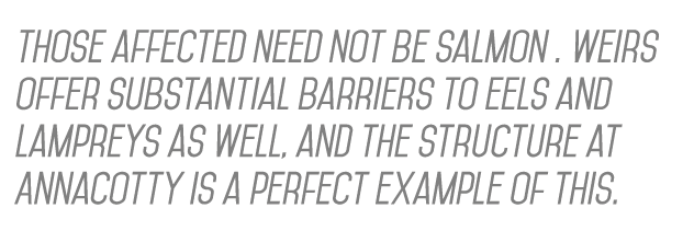 those affected need not be salmon . Weirs offer substantial barriers to eels and lampreys as well, and the structure ...