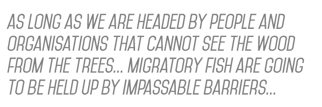 as long as we are headed by people and organisations that cannot see the wood from the trees... migratory fish are go...
