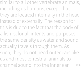 similar to all other vertebrate animals, including us humans, except that they are located internally in the head ins...