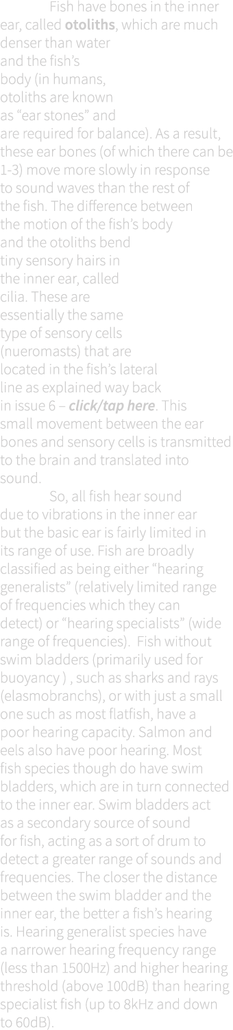  Fish have bones in the inner ear, called otoliths, which are much denser than water and the fish’s body (in humans, ...