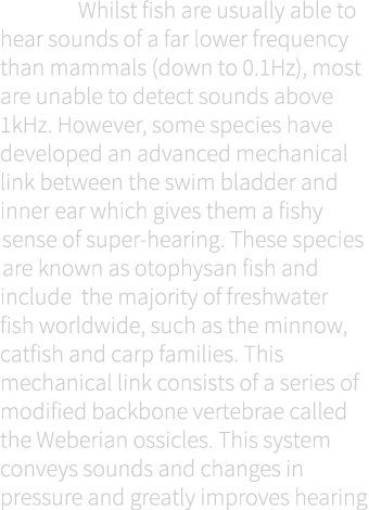  Whilst fish are usually able to hear sounds of a far lower frequency than mammals (down to 0.1Hz), most are unable t...