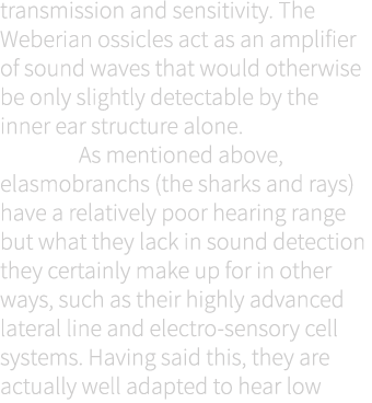 transmission and sensitivity. The Weberian ossicles act as an amplifier of sound waves that would otherwise be only s...