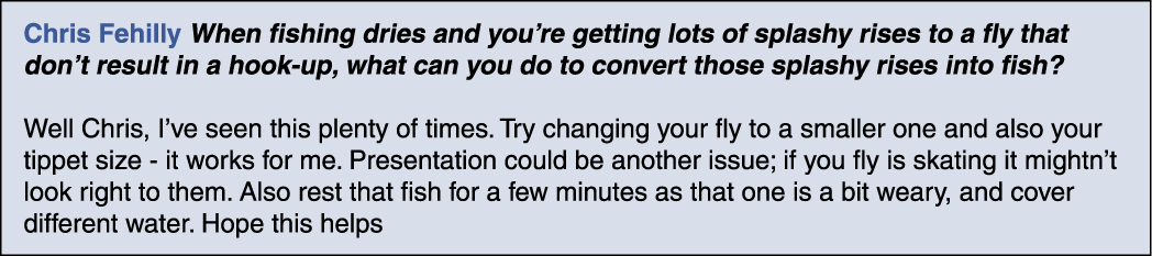 Chris Fehilly When fishing dries and you’re getting lots of splashy rises to a fly that don’t result in a hook-up, wh...