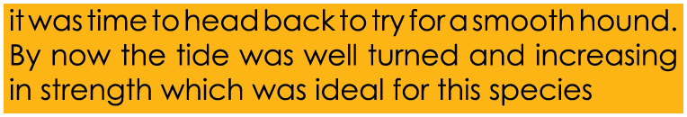 it was time to head back to try for a smooth hound. By now the tide was well turned and increasing in strength which ...