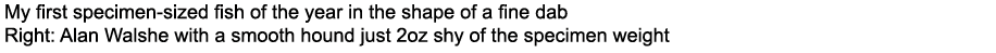 My first specimen-sized fish of the year in the shape of a fine dab Right: Alan Walshe with a smooth hound just 2oz s...