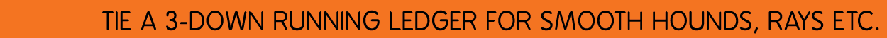  tie a 3-down running ledger for smooth hounds, rays etc.