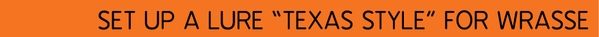  Set up a lure “Texas style” for wrasse
