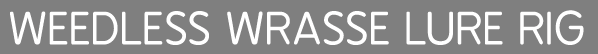 weedless wrasse lure rig