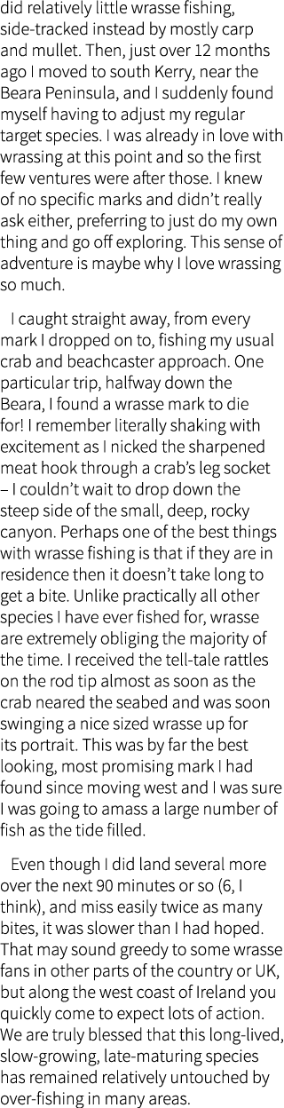 did relatively little wrasse fishing, side-tracked instead by mostly carp and mullet. Then, just over 12 months ago I...