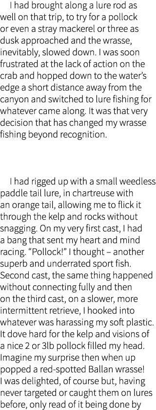    I had brought along a lure rod as well on that trip, to try for a pollock or even a stray mackerel or three as dus...