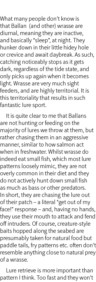     What many people don’t know is that Ballan (and other) wrasse are diurnal, meaning they are inactive, and basical...