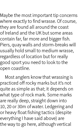  Maybe the most important tip concerns where exactly to find wrasse. Of course, they are found all around the coast o...
