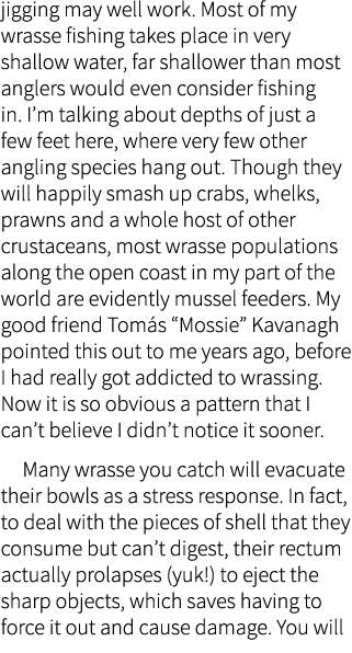 jigging may well work. Most of my wrasse fishing takes place in very shallow water, far shallower than most anglers w...