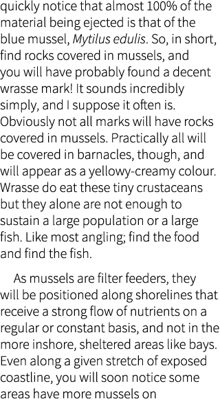 quickly notice that almost 100% of the material being ejected is that of the blue mussel, Mytilus edulis. So, in shor...