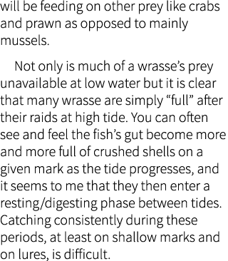 will be feeding on other prey like crabs and prawn as opposed to mainly mussels.    Not only is much of a wrasse’s pr...