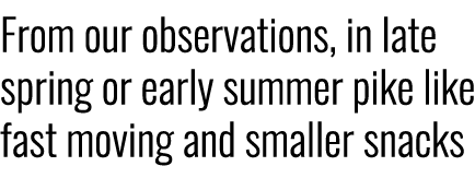 From our observations, in late spring or early summer pike like fast moving and smaller snacks