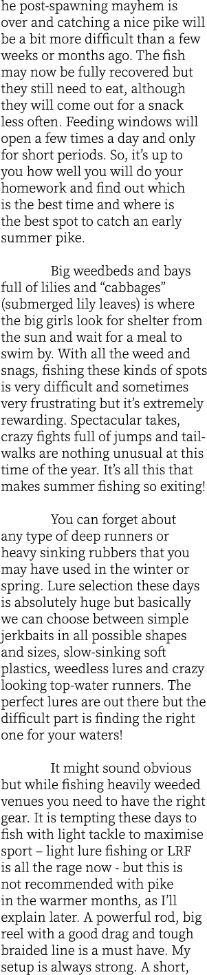 he post-spawning mayhem is over and catching a nice pike will be a bit more difficult than a few weeks or months ago....