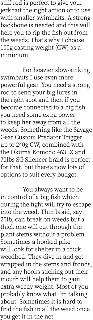 stiff rod is perfect to give your jerkbait the right action or to use with smaller swimbaits. A strong backbone is ne...