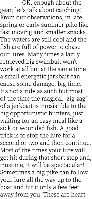  OK, enough about the gear; let’s talk about catching! From our observations, in late spring or early summer pike lik...