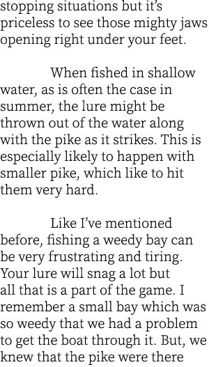 stopping situations but it’s priceless to see those mighty jaws opening right under your feet.  When fished in shallo...