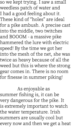 so we kept trying. I saw a small weedless patch of water and I had a good feeling about it. These kind of “holes” are...