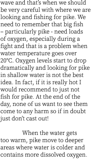 wave and that’s when we should be very careful with where we are looking and fishing for pike. We need to remember th...