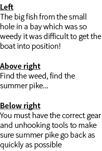 Left The big fish from the small hole in a bay which was so weedy it was difficult to get the boat into position! Abo...