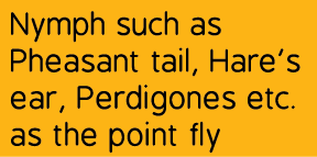 Nymph such as Pheasant tail, Hare’s ear, Perdigones etc.as the point fly