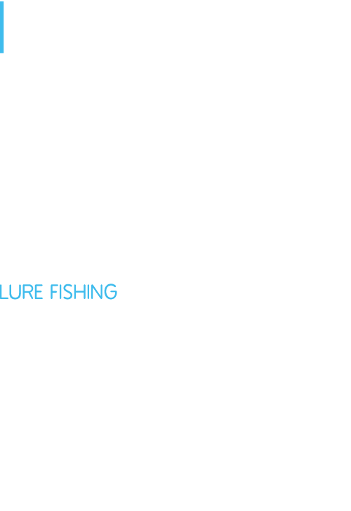 I was honoured when I was asked to write an article for Off the Scale but was not sure if I wanted to do it as I thou...