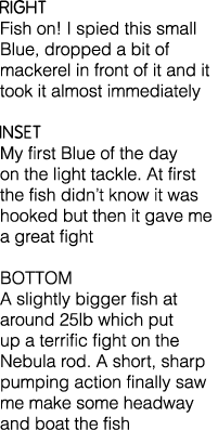 Right Fish on! I spied this small Blue, dropped a bit of mackerel in front of it and it took it almost immediately In...