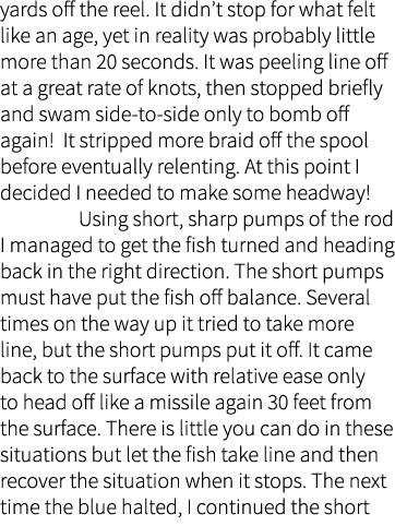 yards off the reel. It didn’t stop for what felt like an age, yet in reality was probably little more than 20 seconds...