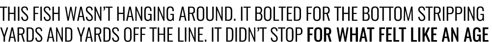 This fish wasn’t hanging around. It bolted for the bottom stripping yards and yards off the line. It didn’t stop for ...