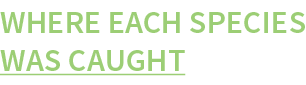 Where each species was caught