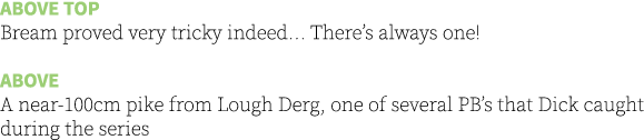 Above top Bream proved very tricky indeed... There’s always one! Above A near-100cm pike from Lough Derg, one of seve...