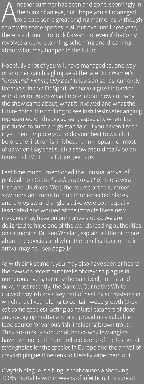 Another summer has been and gone, seemingly in the blink of an eye, but I hope you all managed to create some great a...