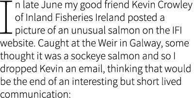 In late June my good friend Kevin Crowley of Inland Fisheries Ireland posted a picture of an unusual salmon on the IF...