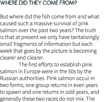 Where did they come from? But where did the fish come from and what caused such a massive survival of pink salmon ove...