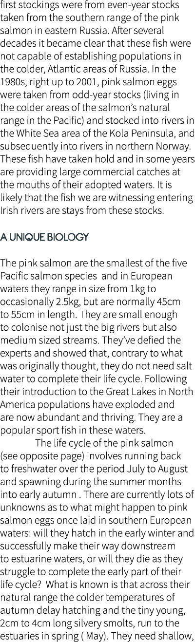 first stockings were from even-year stocks taken from the southern range of the pink salmon in eastern Russia. After ...