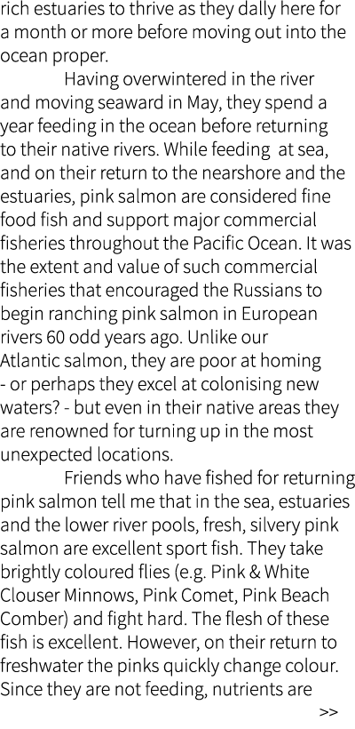 rich estuaries to thrive as they dally here for a month or more before moving out into the ocean proper.  Having over...